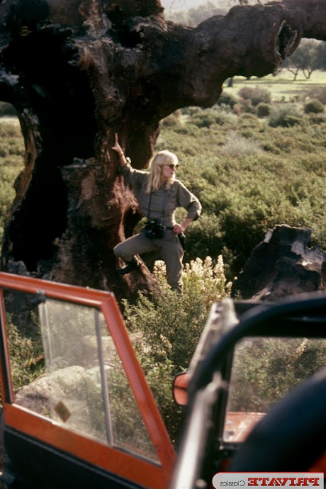 Ретро тройничок картинка 29