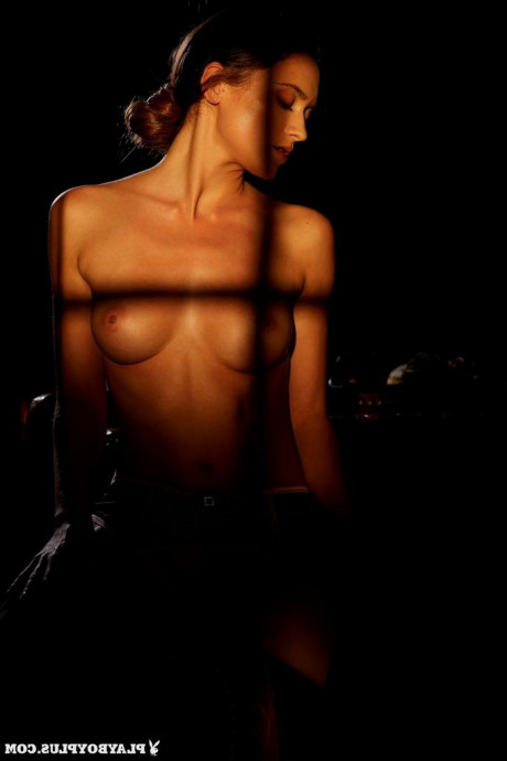 Девушки Плейбоя картинка 6