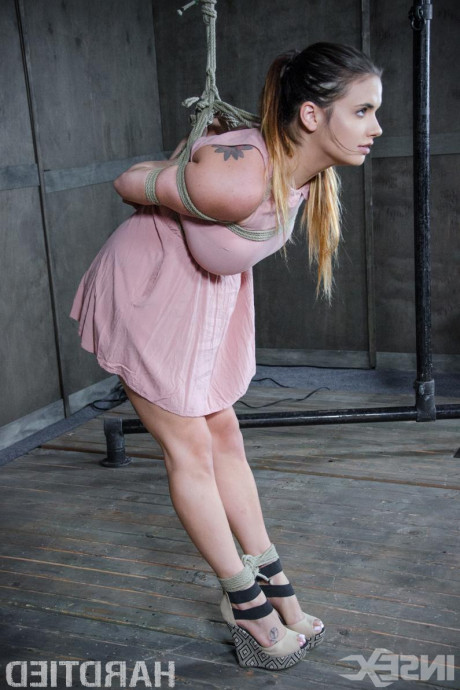 Молодые в бондаже картинка 9